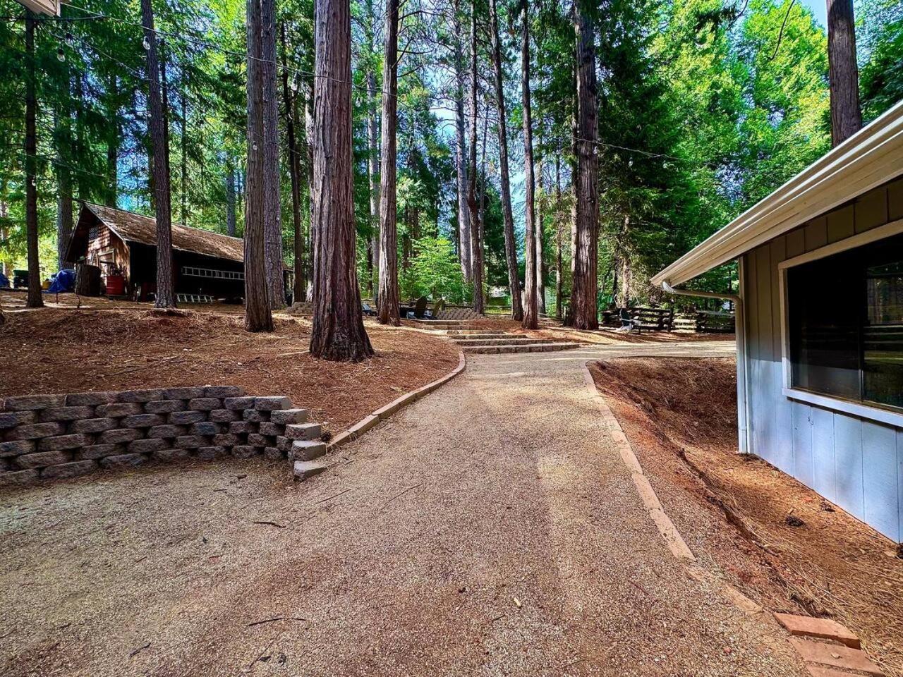 Cabin In The Trees-Game Room Pollock Pines Exterior photo